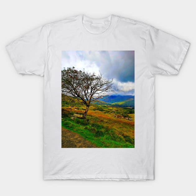 The Ladies View, Ring of Kerry T-Shirt by BrianPShaw